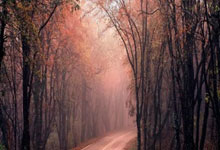 太阳报：切尔西考察哥伦比亚19岁“刺头”天才，双脚踩球引发冲突.