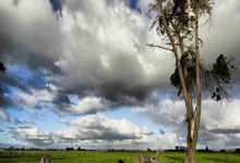 多多28官网：伦纳德：老卢这次复出有进步！哈登：詹金斯下课了，他能不怕吗？.