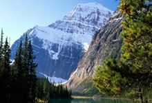 第20届亚洲马拉松锦标赛：女子组吴冰摘金，男子陈天宇夺银.