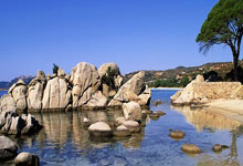 多多28官网：上海海港队卫冕中超联赛冠军新华社.